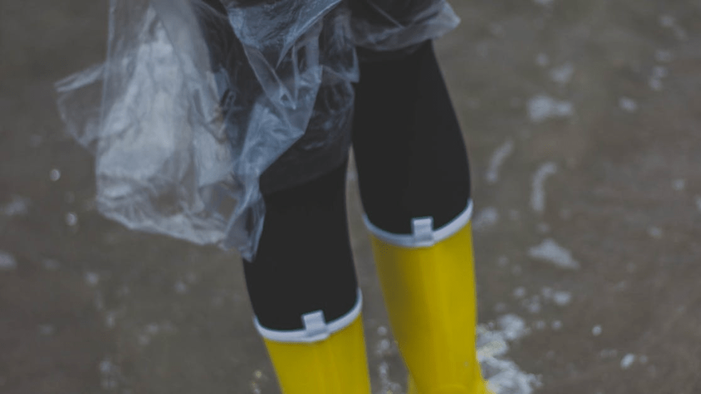 Post-disaster recovery: tax relief options