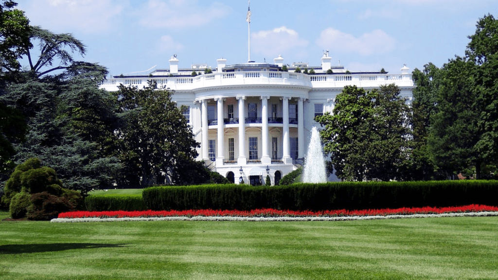 Understanding Trump’s proposed tax changes: implications for taxpayers and business owners